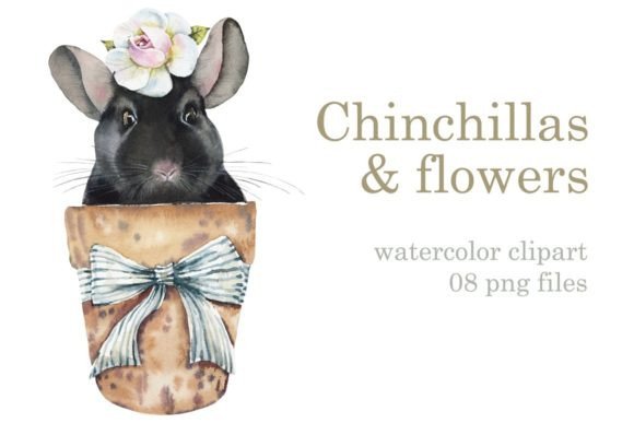 Watercolor Flower Chichillas: A Designer’s Delightful Clipart Set